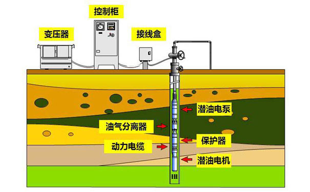 潛油電泵 潛油電泵